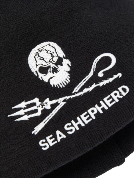 Beanie Jolly Roger