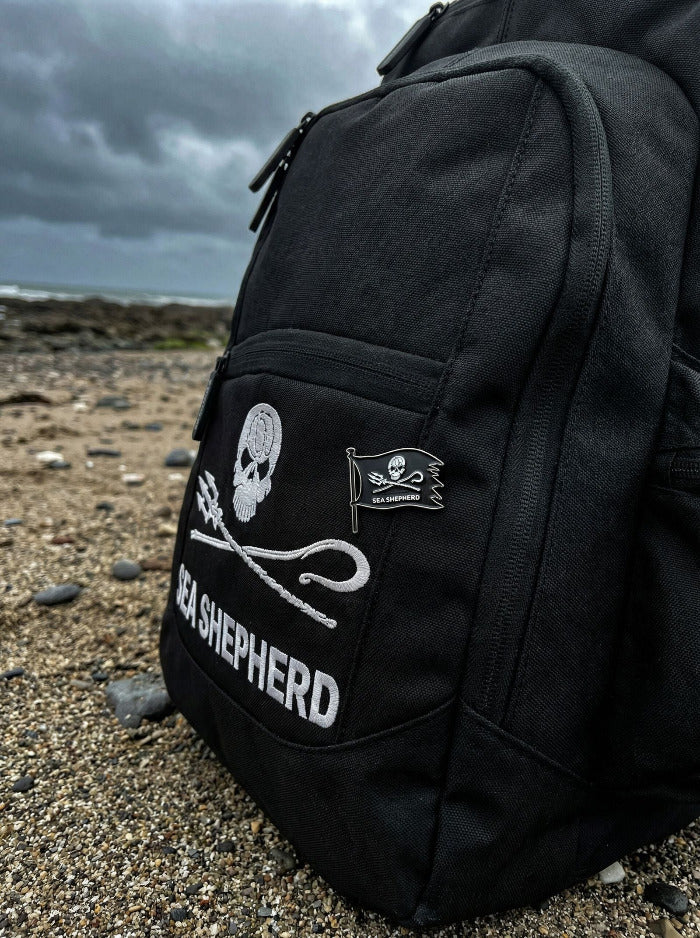 Pin Jolly Roger Drapeau