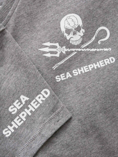 T-Shirt Jolly Roger (grau)