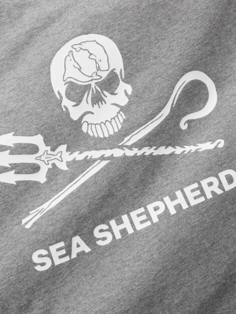 T-Shirt Jolly Roger (grau)