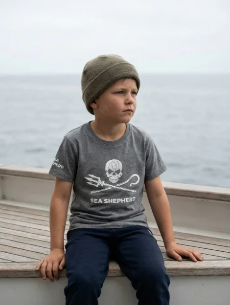 Kinder T-Shirt Jolly Roger (grau)