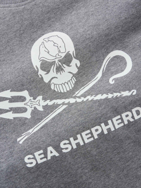 Kinder T-Shirt Jolly Roger (grau)