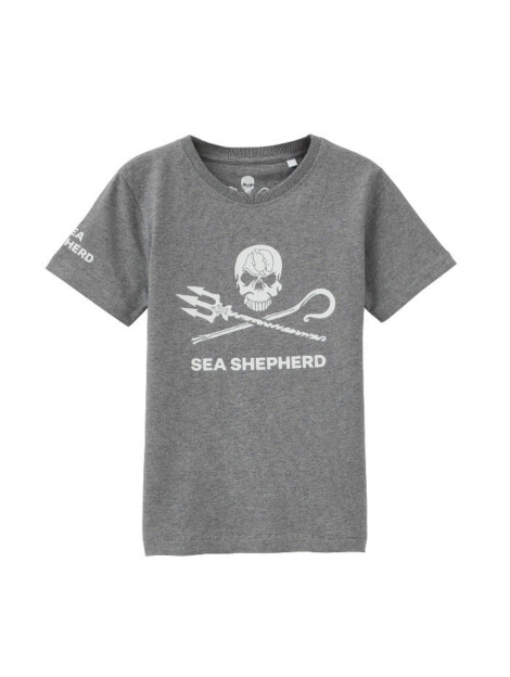Kinder T-Shirt Jolly Roger (grau)