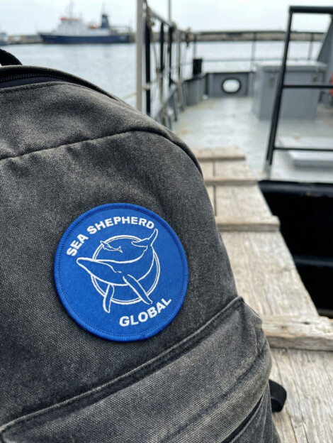 Aufnäher Classic-Logo Global