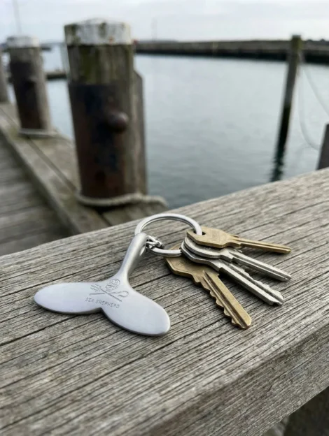 Schlüsselanhänger Walfluke (matt)