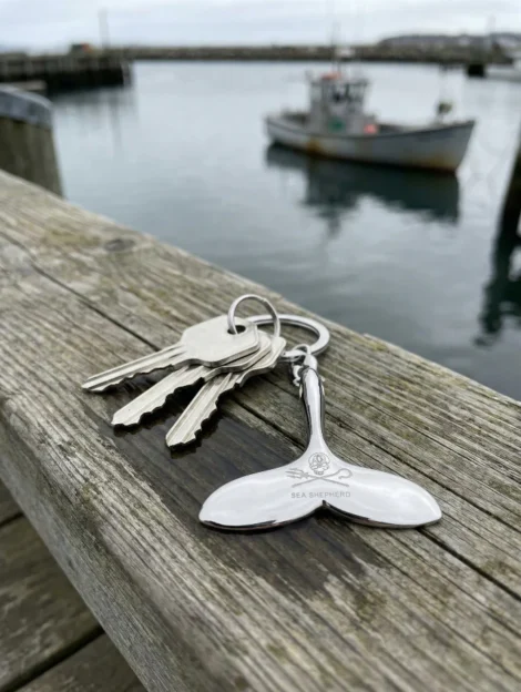 Schlüsselanhänger Walfluke (poliert)