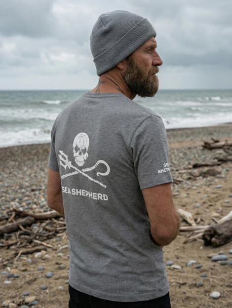 T-Shirt Jolly Roger (grau)