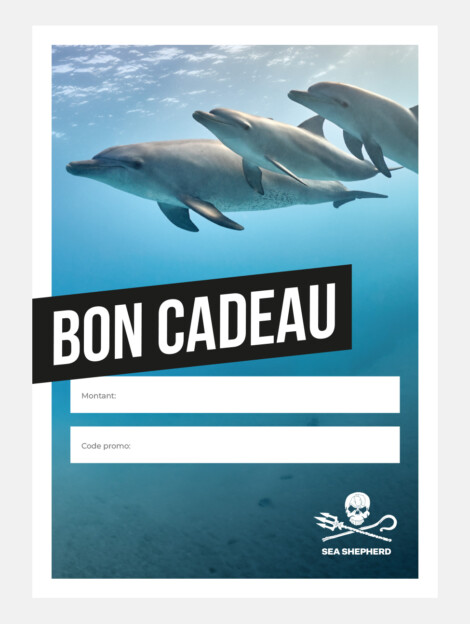 Carte Cardeau