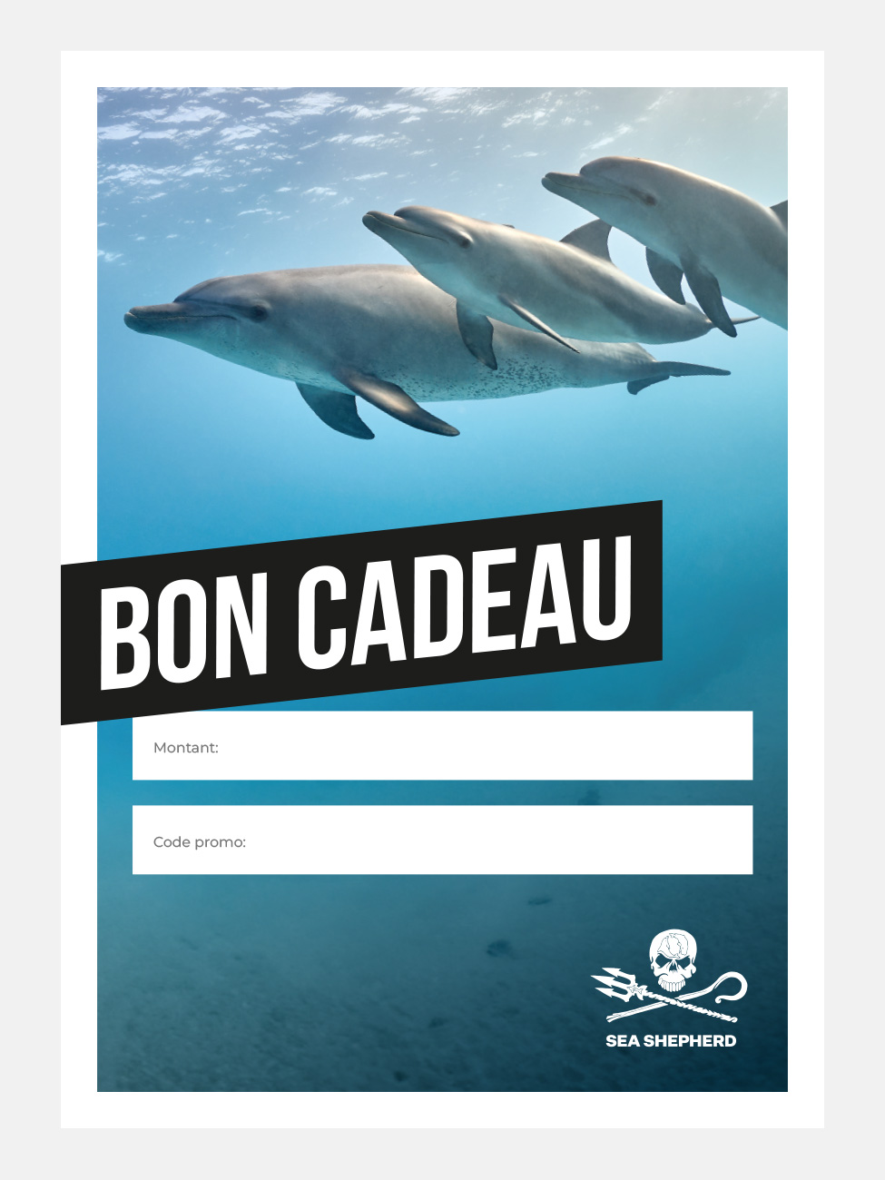 Carte Cardeau